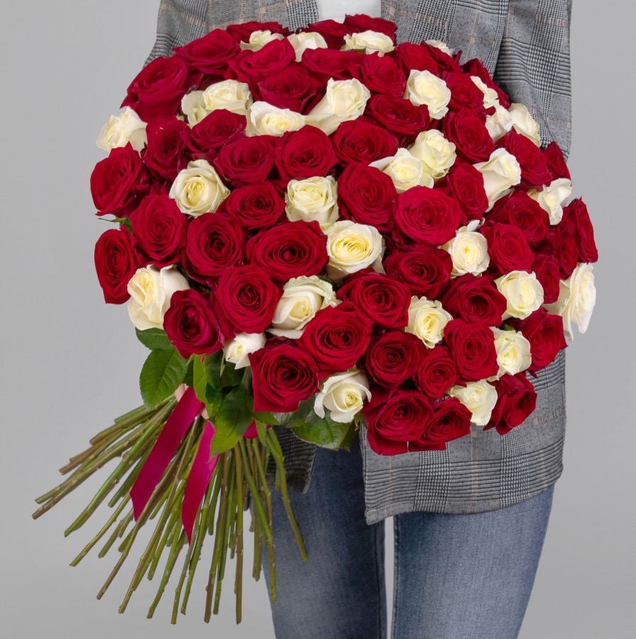 75 red and white roses
